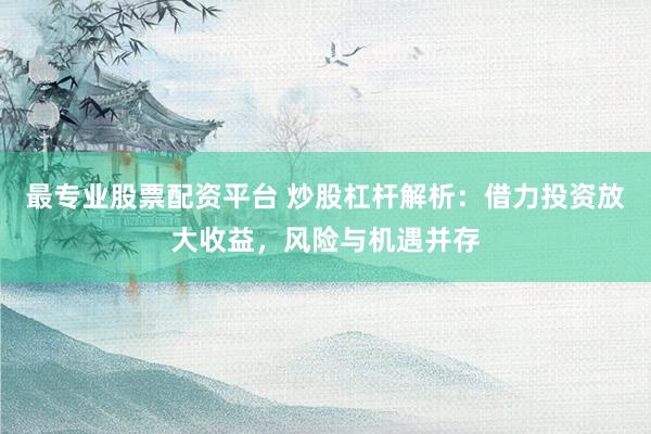 最专业股票配资平台 炒股杠杆解析：借力投资放大收益，风险与机遇并存