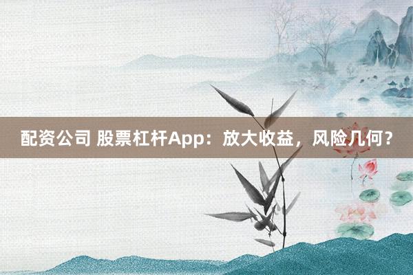 配资公司 股票杠杆App：放大收益，风险几何？