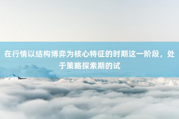在行情以结构博弈为核心特征的时期这一阶段，处于策略探索期的试