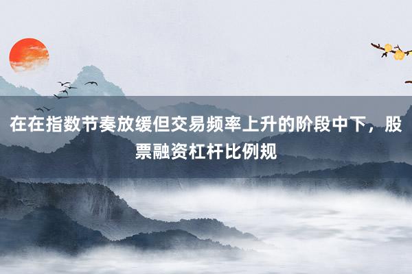 在在指数节奏放缓但交易频率上升的阶段中下，股票融资杠杆比例规