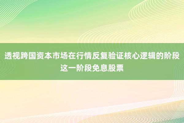 透视跨国资本市场在行情反复验证核心逻辑的阶段这一阶段免息股票