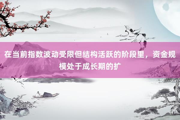 在当前指数波动受限但结构活跃的阶段里，资金规模处于成长期的扩