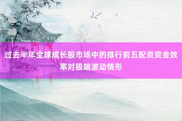 过去半年全球成长股市场中的排行前五配资资金效率对极端波动情形