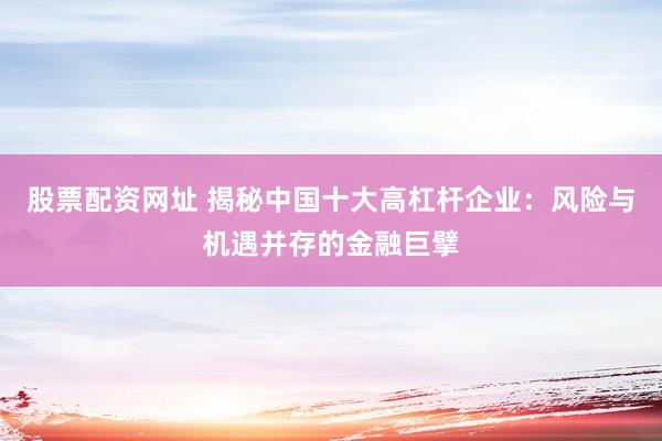 股票配资网址 揭秘中国十大高杠杆企业：风险与机遇并存的金融巨擘