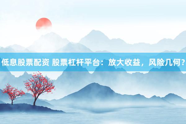 低息股票配资 股票杠杆平台：放大收益，风险几何？