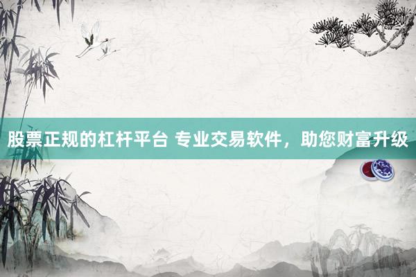 股票正规的杠杆平台 专业交易软件，助您财富升级